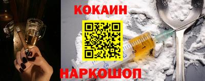стаф Гатчина