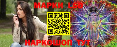 стаф Гатчина