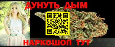 стаф Гатчина