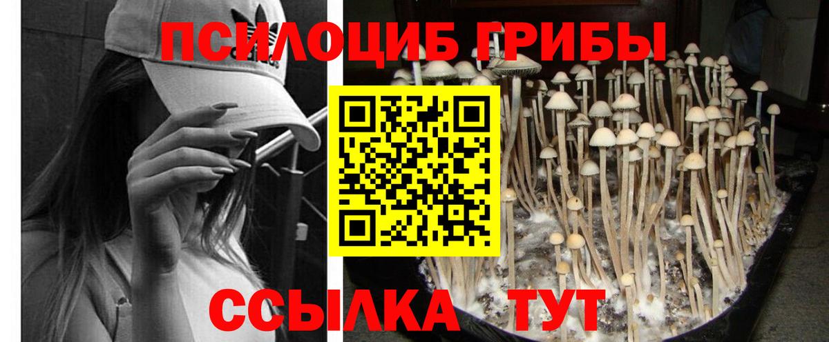цена наркотик  Галлюциногенные грибы мухоморы  Галлюциногенные грибы Cubensis  Вход с VPN  Мариинск 